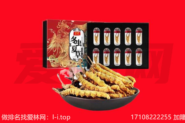 兰州市回收虫草.jpg